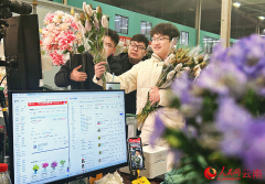 新春走下层｜年宵花从“云”上来